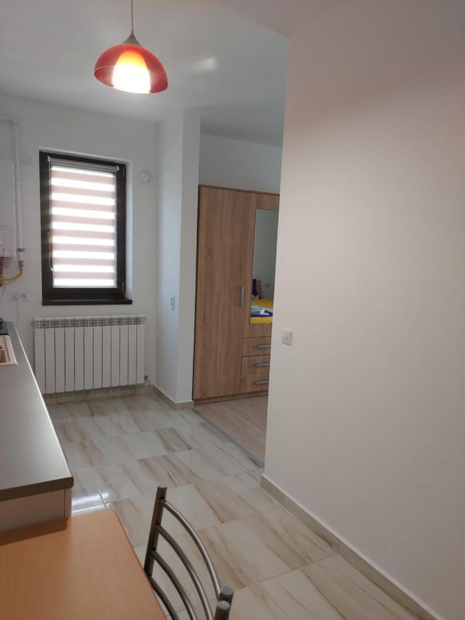 Apartmán Bya Brown Valea Lupului  Exteriér fotografie